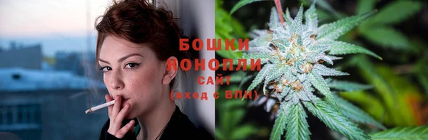 бутират Белокуриха
