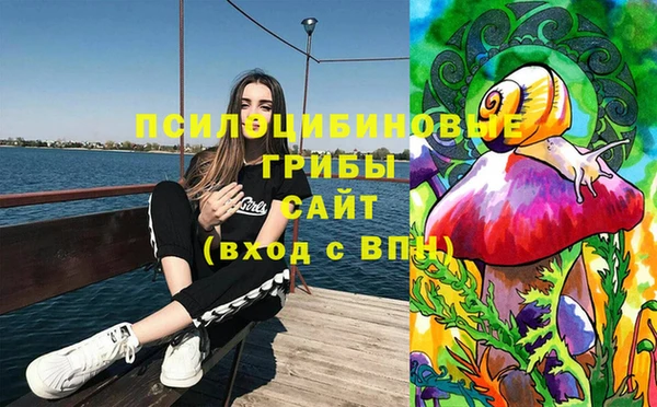 бутират Белокуриха