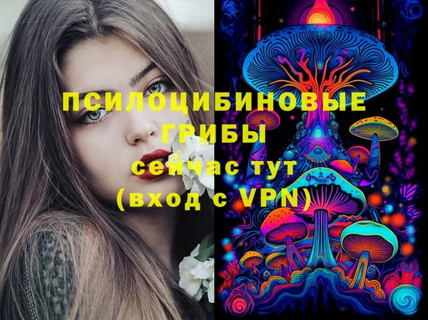 бутират Белокуриха