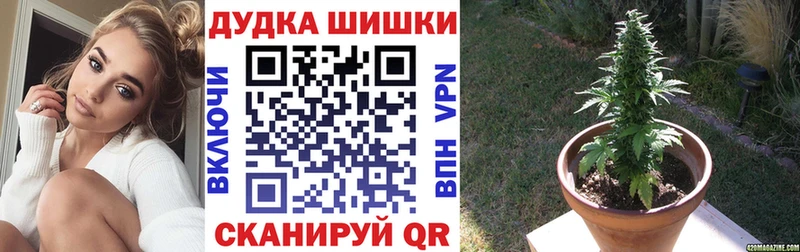 Бошки Шишки планчик  где купить наркоту  ОМГ ОМГ ссылка  Валуйки 